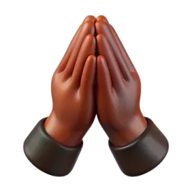 a pair of hands folded in prayer