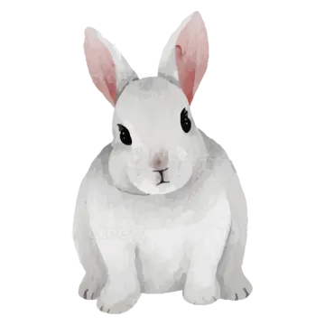 a white rabbit with pink ears sitting on a white background