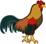 a rooster is standing on the ground