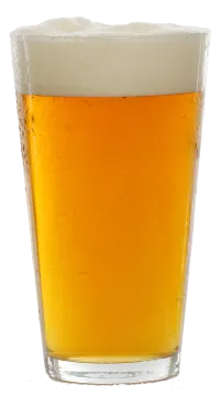 a glass of beer on a white background