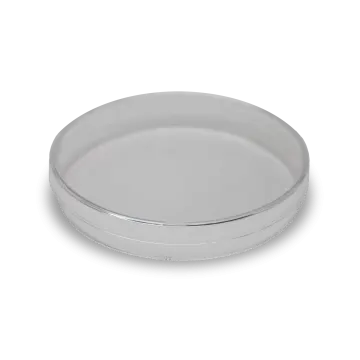 a silver plate on a white background