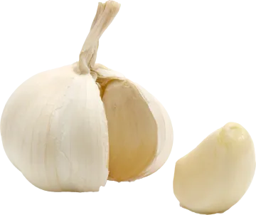 an onion and a garlic on a white background