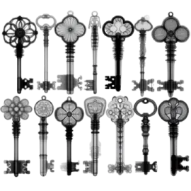 a bunch of keys on a white background
