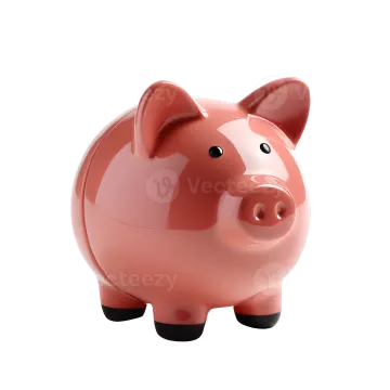 a pink pig on a white background