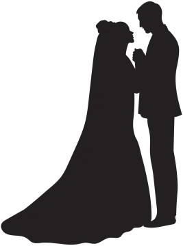 a silhouette of a bride and groom