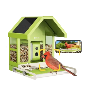 a green bird feeder with a red bird in it