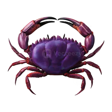 a purple crab on a white background