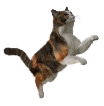 a cat that is jumping in the air