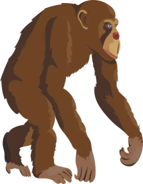 an illustration of a bigfoot