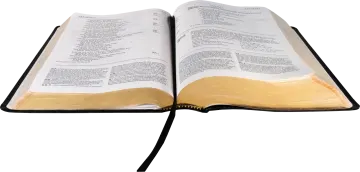 an open bible on a white background