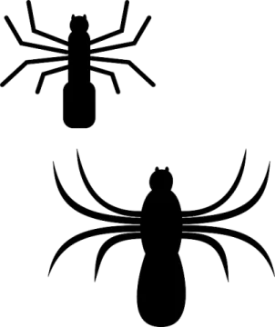a black and white image of two spiders