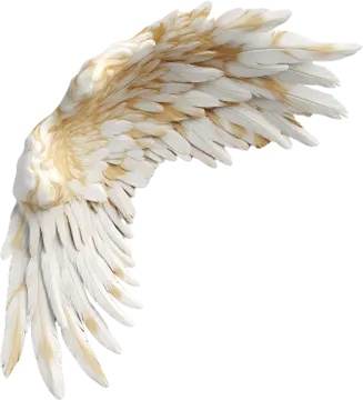 an image of a white and gold wing