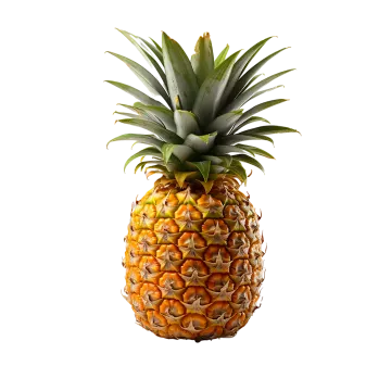 a pineapple on a white background