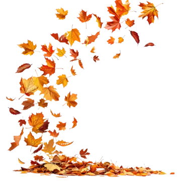 falling autumn leaves on a white background