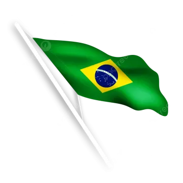 the brazilian flag on a white background