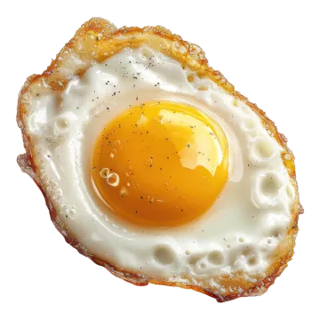 a fried egg on a piece of toasted bread
