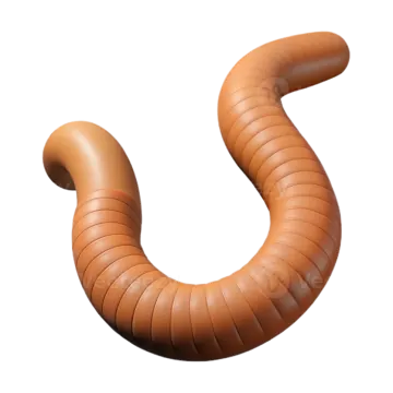 an image of a worm