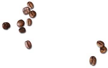 coffee beans on a white background