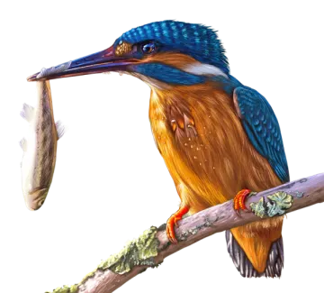 a bird with a fish in its beak