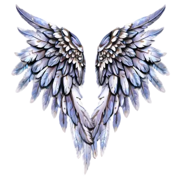 a pair of wings on a white background