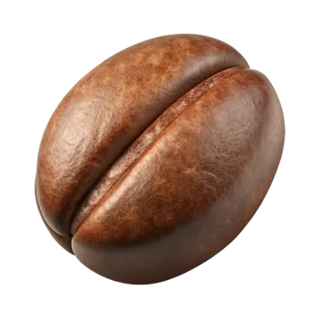 a coffee bean on a white background