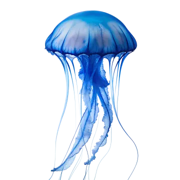 a blue jellyfish swimming in the ocean