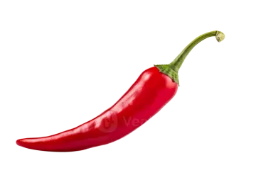 a red hot pepper on a white background