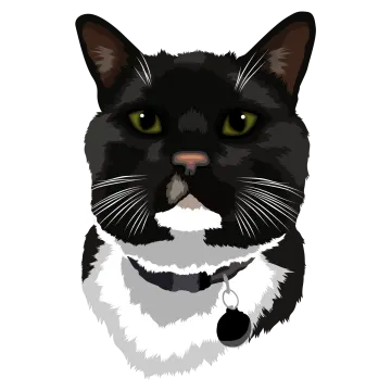 a black and white cat with green eyes