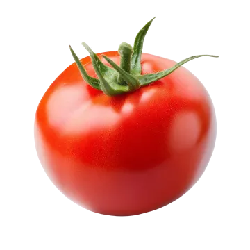 a red tomato on a white background