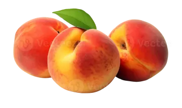 three peaches on a white background