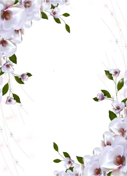 a frame with white flowers and green leaves