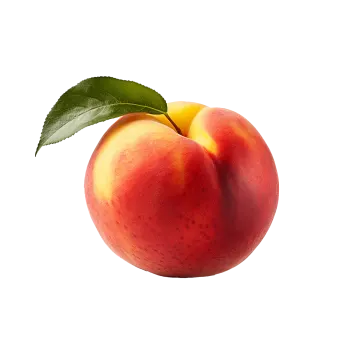 a peach on a white background