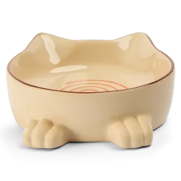 a small bowl with a cat design on it