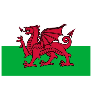 the flag of wales