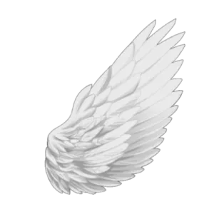 an image of a white angel's wings