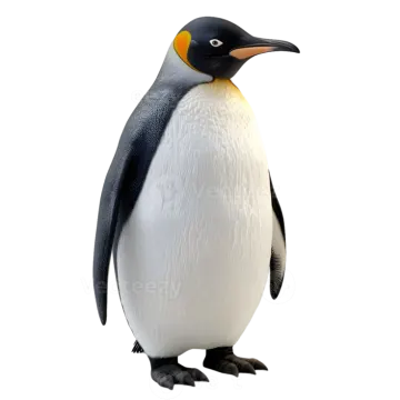 a penguin standing in front of a white background