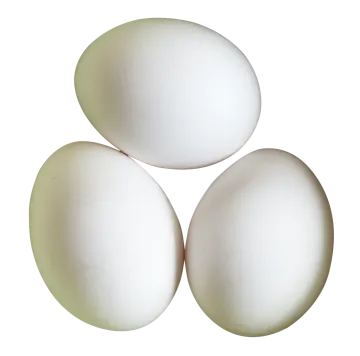 three white eggs on a white background