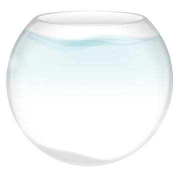 a goldfish swimming in a bowl