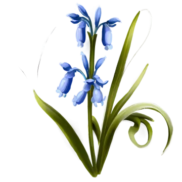 a blue flower on a white background