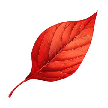 a red leaf on white background