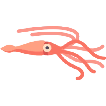 an illustration of a squid