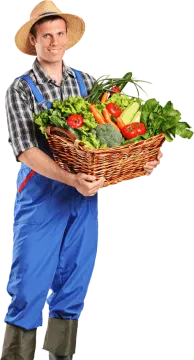a man holding a basket full of vegetables