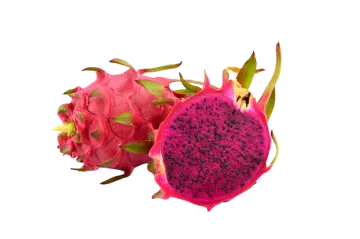 dragon fruit on a white background