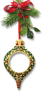 a christmas orname hanging on a tree branch
