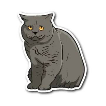 a gray cat with orange eyes sitting on the ground
