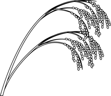 a black and white drawing of a bunch of flowers