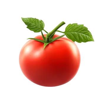 a red tomato with green leaves on it