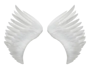 a pair of white wings on a white background