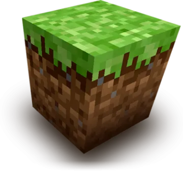 an image of a minecraft block