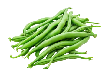 green beans on a white background